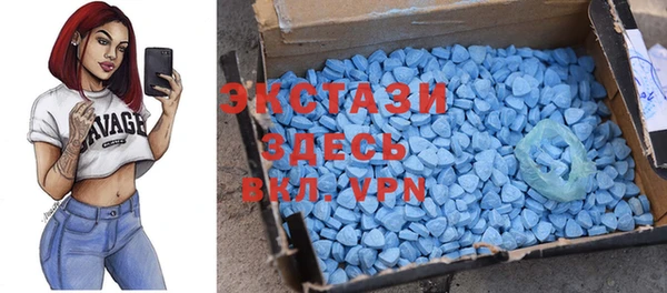таблы Гусев
