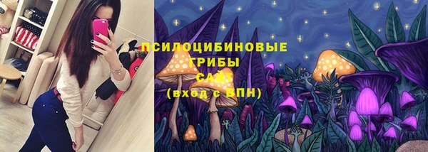 таблы Гусев