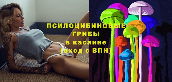 МДПВ Весьегонск