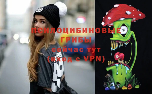 синтетический гашиш Гусиноозёрск
